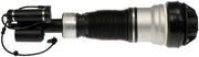 Suspension Air Strut Dorman-OE Solutions 949-982