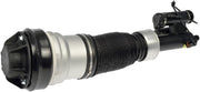 Suspension Air Strut Dorman-OE Solutions 949-982