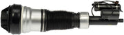 Suspension Air Strut Dorman-OE Solutions 949-983