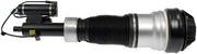 Suspension Air Strut Dorman-OE Solutions 949-983