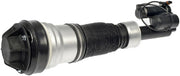 Suspension Air Strut Dorman-OE Solutions 949-983