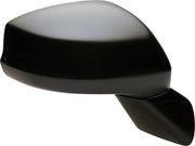 Door Mirror Dorman 955-1725