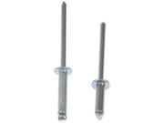 Steel Rivet Assortment Dorman-AutoGrade 961-020