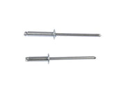 Steel Rivet Assortment Dorman-AutoGrade 961-020