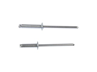 Steel Rivet Assortment Dorman-AutoGrade 961-020