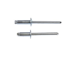 Steel Rivet Assortment Dorman-AutoGrade 961-035