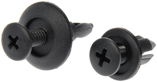 Nylon Rivet Assortment Dorman-AutoGrade 961-045