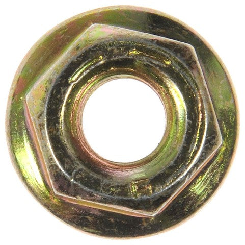 Nut Dorman-AutoGrade 962-010