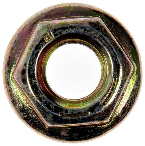 Nut Dorman-AutoGrade 962-011