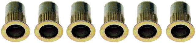 Rivet Nut Dorman 963-250BX