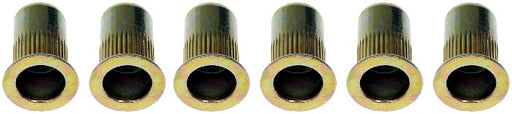 Rivet Nut Dorman 963-250BX