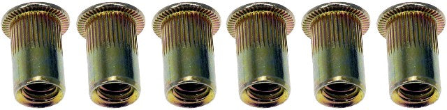 Rivet Nut Dorman 963-250BX
