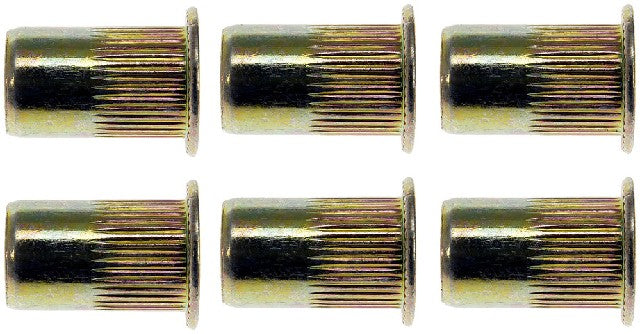 Rivet Nut Dorman 963-250BX