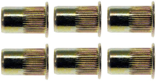 Rivet Nut Dorman 963-250BX