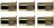 Rivet Nut Dorman 963-250D