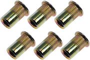 Rivet Nut Dorman 963-250BX
