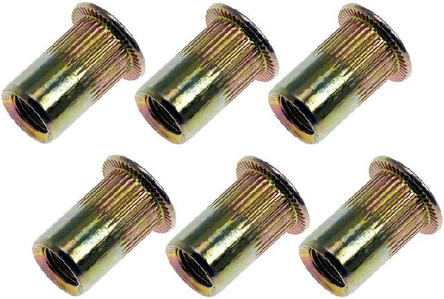 Rivet Nut Dorman 963-250BX