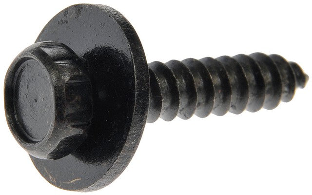 Bolt Dorman 964-005D