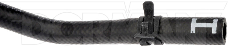 Power Steering Return Hose Dorman-OE Solutions 979-2552