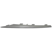 Fog Light Trim  BM1038147