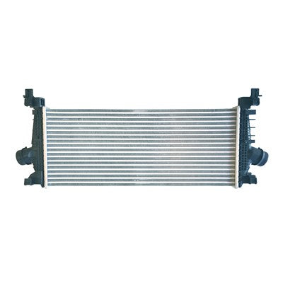 Intercooler  CAC010034