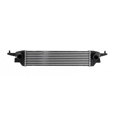 Intercooler  CAC010039