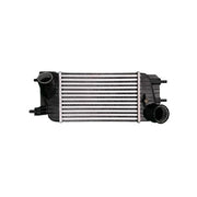 Intercooler  CAC010041
