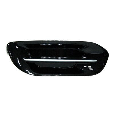 Fog Light Cover  CH1038142