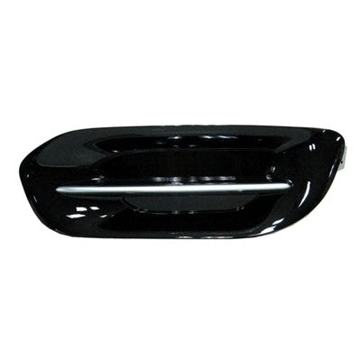 Fog Light Cover  CH1039142