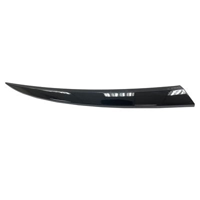 Headlight Molding  CH1213108