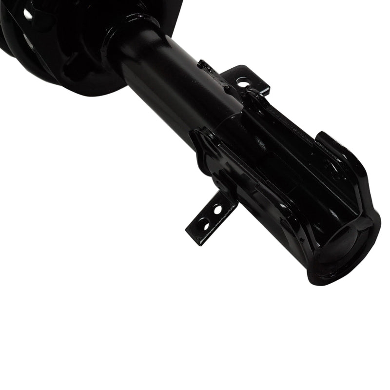 Suspension Kit Front with Loaded Struts and Sway Bar Links