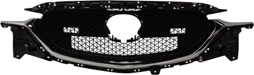 Grille CarParts RB07010012