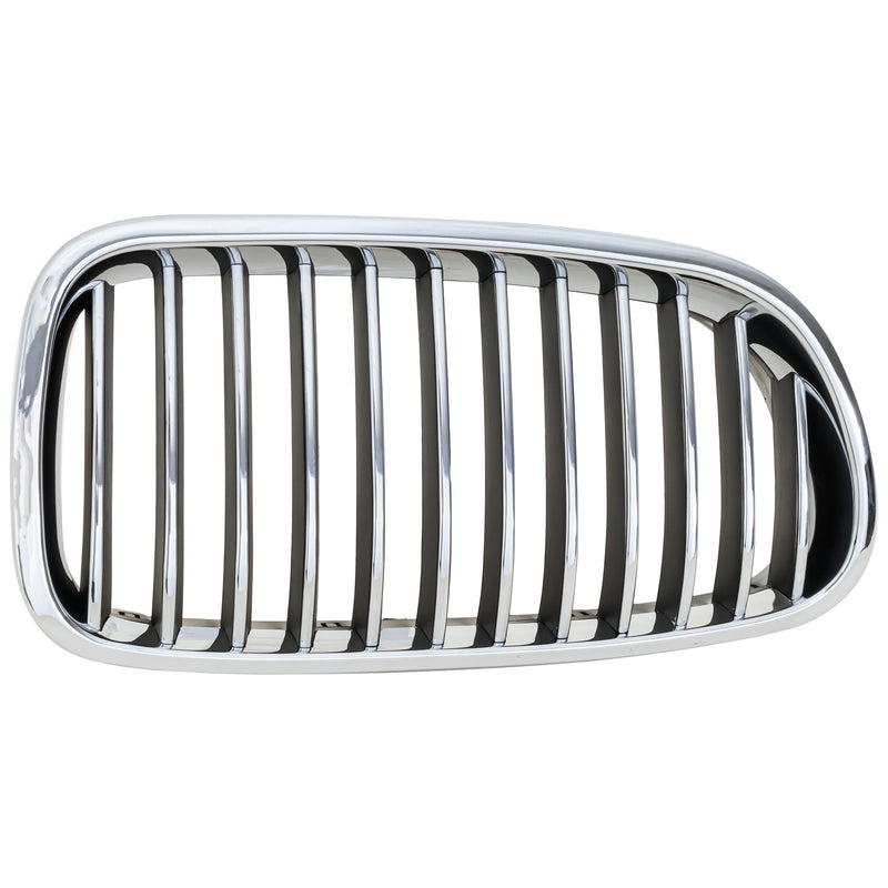 Grille CarParts RB07010029