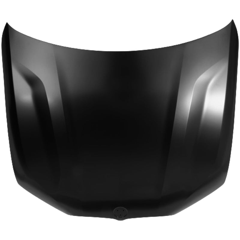 Hood CarParts RB13010020Q