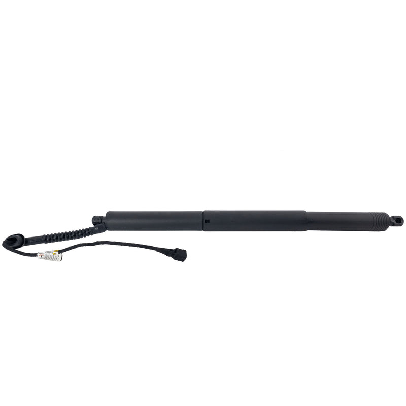 Hood Lift Support CarParts RB63040008