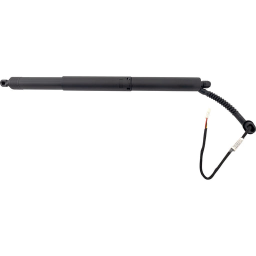 Hood Lift Support CarParts RB63040019