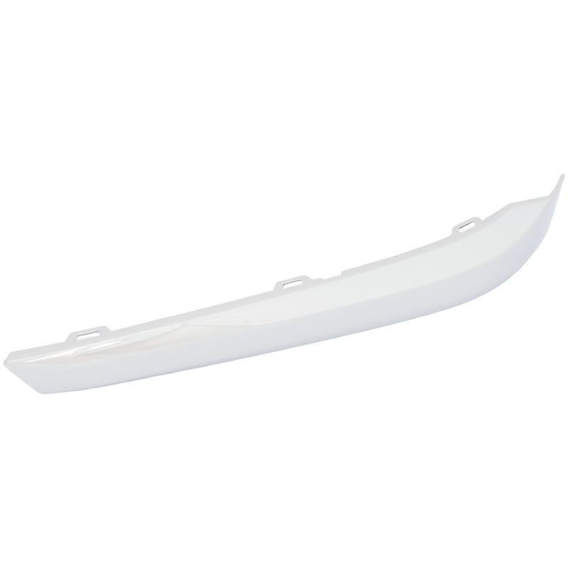 Fog Light Trim CarParts RC10810028