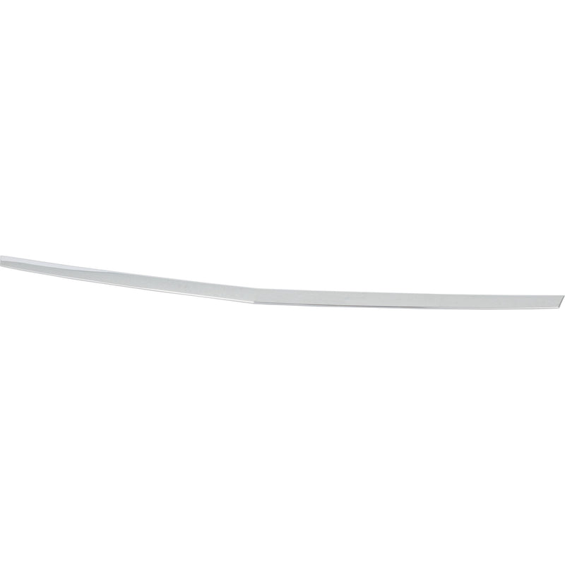 Hood Molding CarParts RC13210003