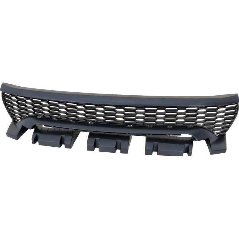 Grille CarParts RD07010031