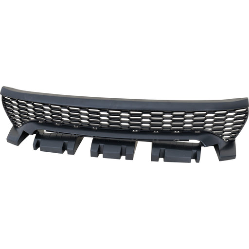 Grille CarParts RD07010031