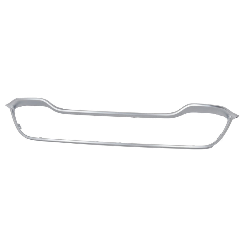 Grille CarParts RD07020007