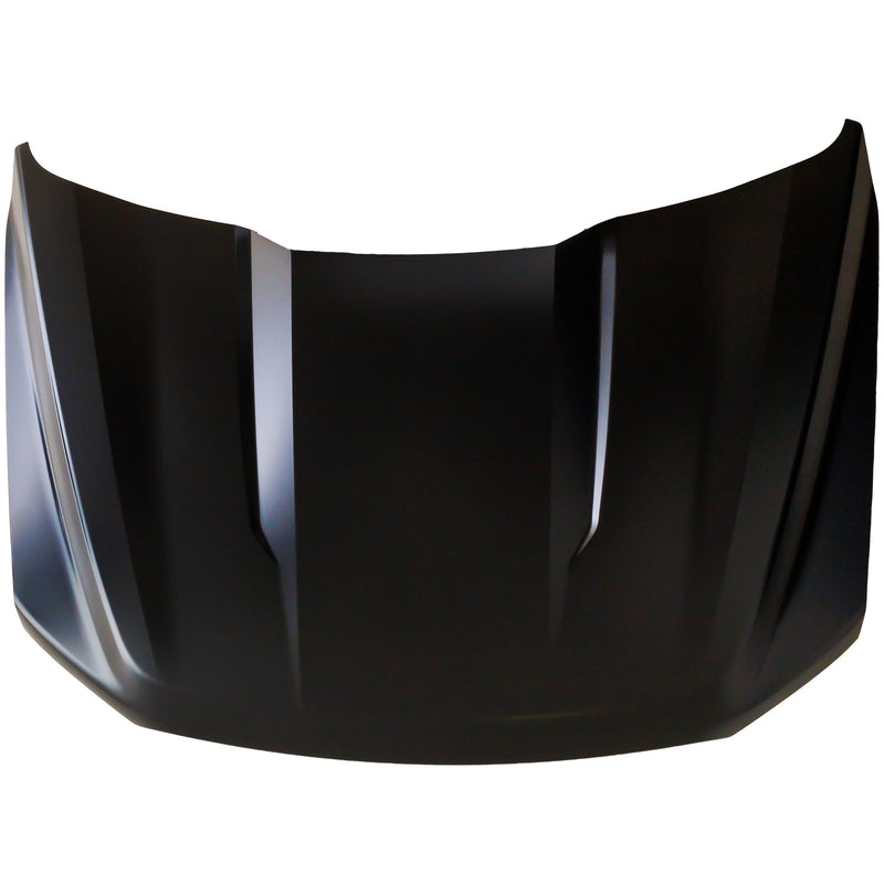 Hood CarParts RF13010019