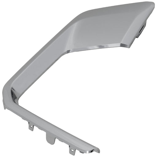 Fog Light Trim CarParts RG10770004