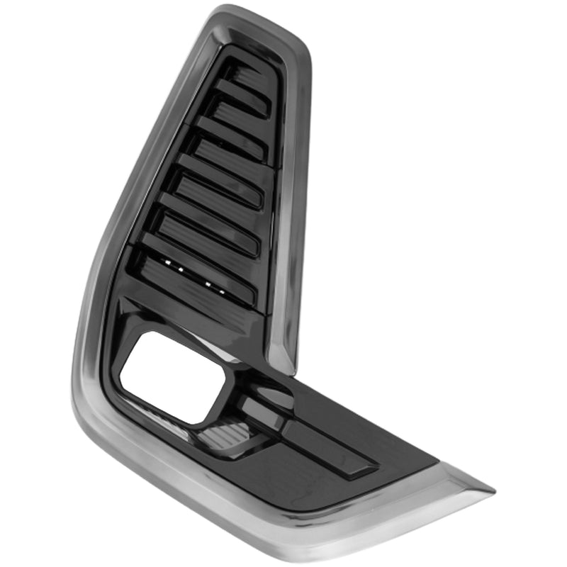 Fog Light Trim CarParts RG10810003