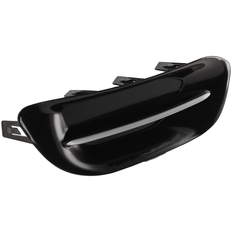 Fog Light Trim CarParts RG10810004