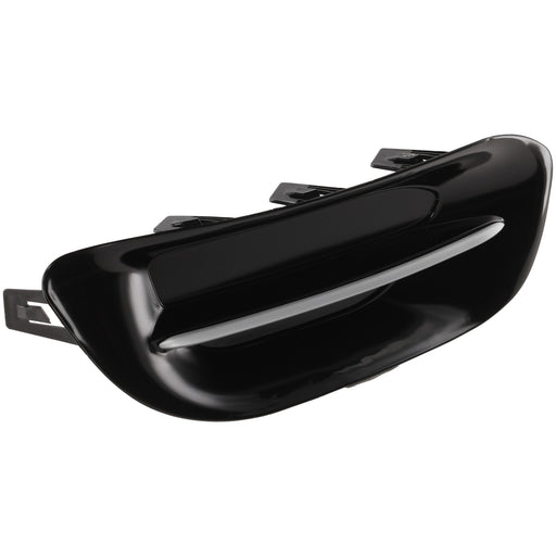 Fog Light Trim CarParts RG10810004