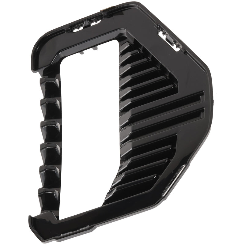 Fog Light Trim CarParts RG10810005