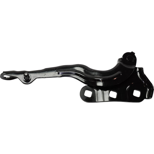 Hood Hinge CarParts RG13050016