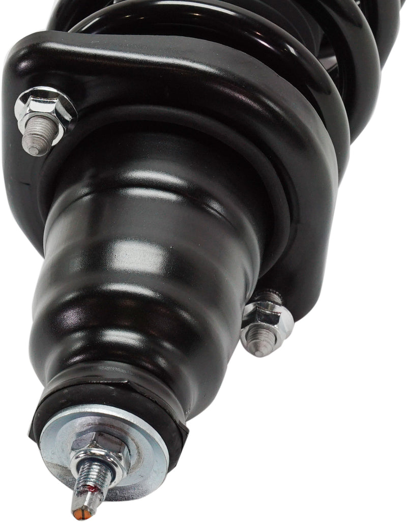 New Shock Absorber and Strut Assembly