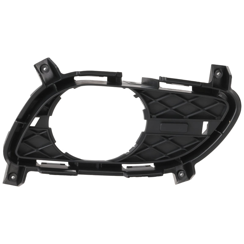 Fog Light Trim CarParts RI10810001